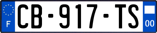 CB-917-TS