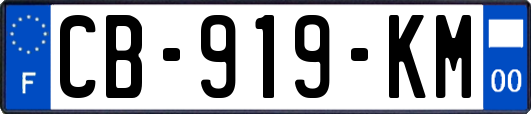 CB-919-KM