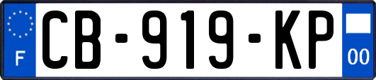 CB-919-KP