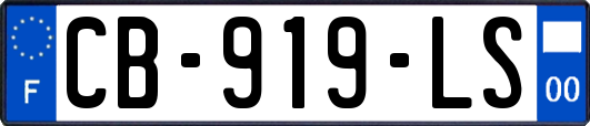 CB-919-LS