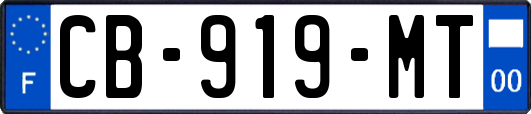 CB-919-MT