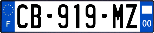 CB-919-MZ