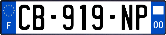 CB-919-NP