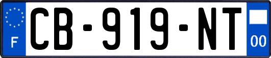 CB-919-NT