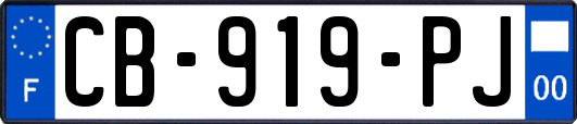 CB-919-PJ