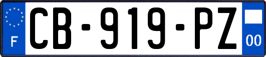 CB-919-PZ
