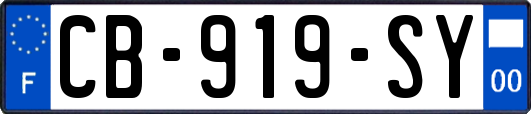 CB-919-SY