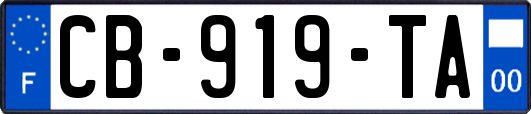 CB-919-TA