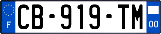 CB-919-TM