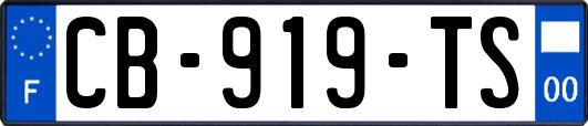 CB-919-TS