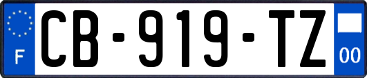 CB-919-TZ