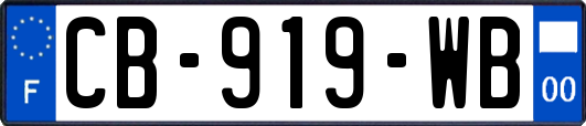 CB-919-WB