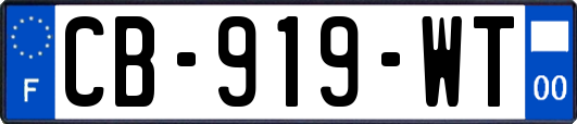 CB-919-WT