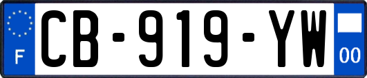 CB-919-YW