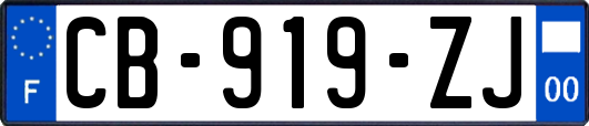 CB-919-ZJ