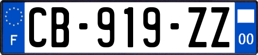 CB-919-ZZ