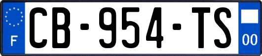 CB-954-TS