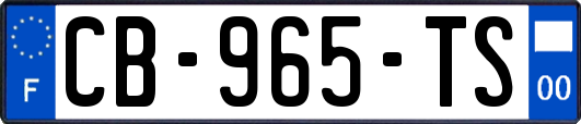 CB-965-TS