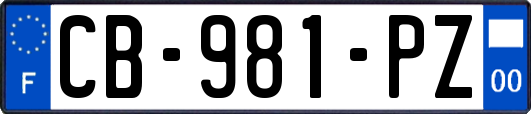 CB-981-PZ
