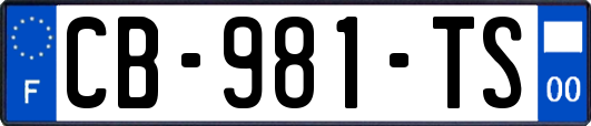 CB-981-TS