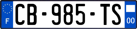 CB-985-TS