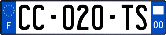 CC-020-TS