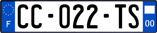 CC-022-TS