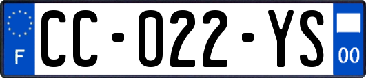 CC-022-YS