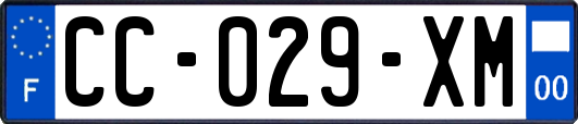 CC-029-XM