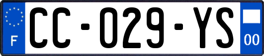 CC-029-YS