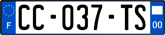 CC-037-TS