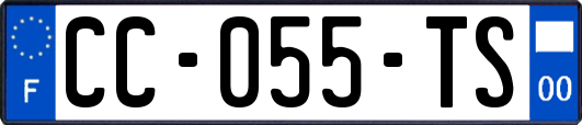 CC-055-TS