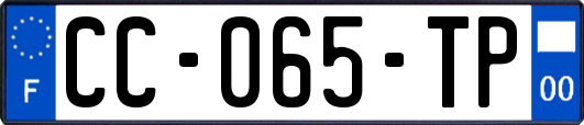 CC-065-TP