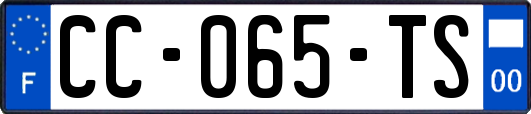CC-065-TS