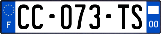 CC-073-TS