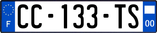 CC-133-TS