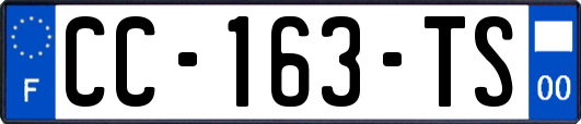 CC-163-TS