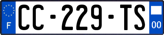 CC-229-TS