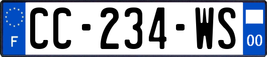 CC-234-WS