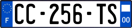 CC-256-TS