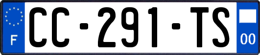 CC-291-TS