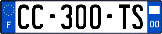 CC-300-TS