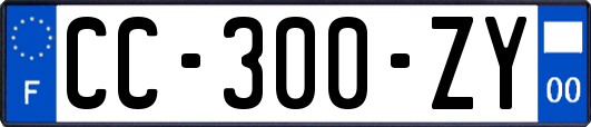 CC-300-ZY