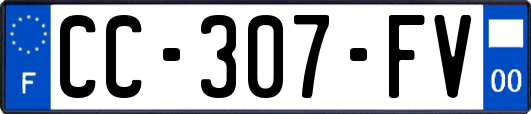 CC-307-FV
