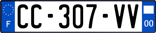 CC-307-VV