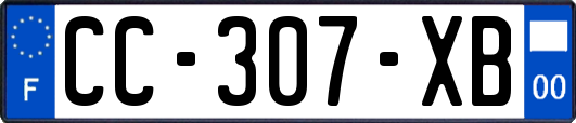 CC-307-XB