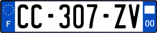 CC-307-ZV