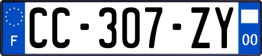 CC-307-ZY