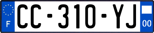 CC-310-YJ