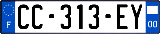CC-313-EY